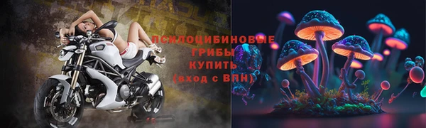 гашик Аркадак