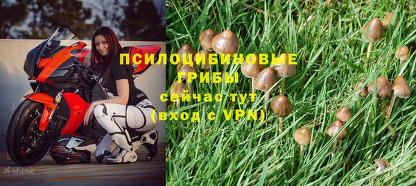 гашиш Арсеньев